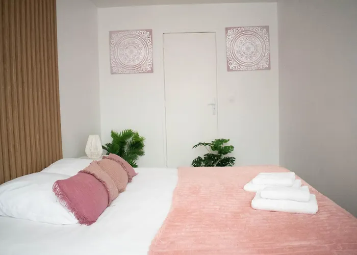 Le Cosy - Centre Ville - 2 Pieces